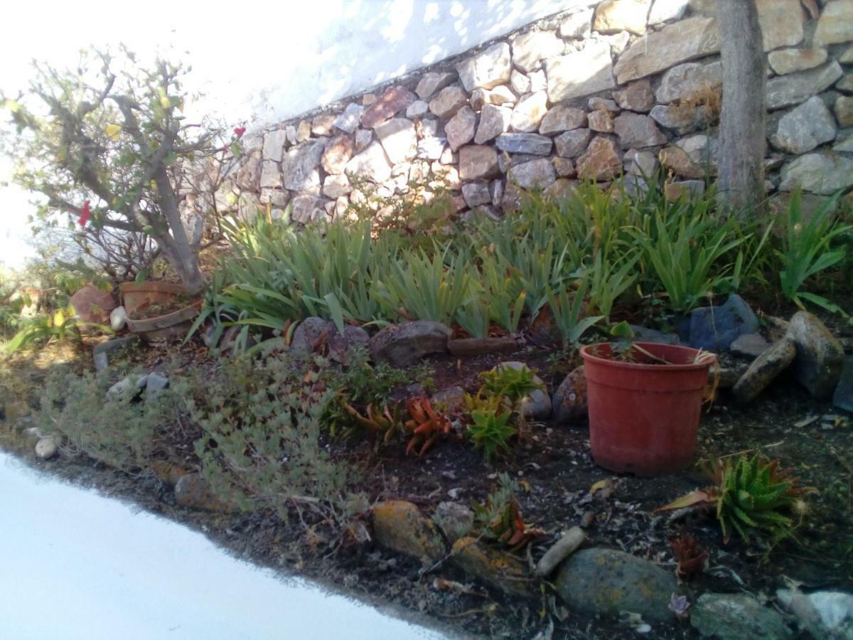 Chalecito En La Herradura- Casa Kwetu Tamarindo Exterior foto